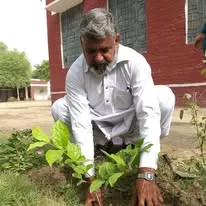 Green Seekers Activity